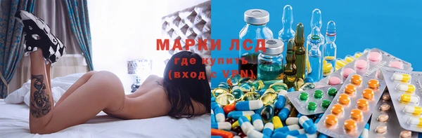 стафф Арсеньев