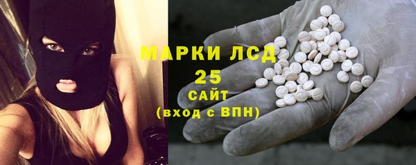 индика Алзамай