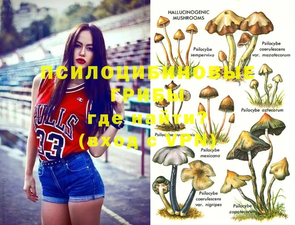 прущая мука Армянск