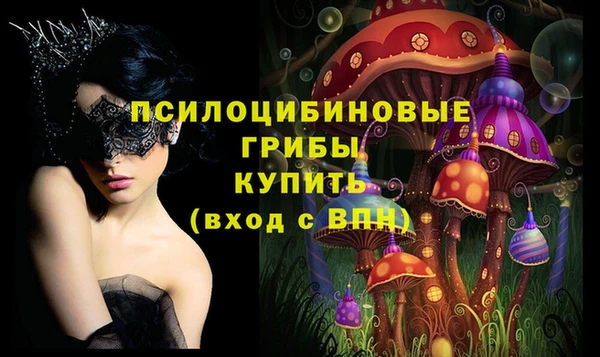 индика Алзамай