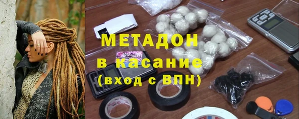 прущие грибы Аркадак