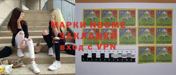 индика Алзамай
