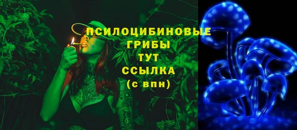 прущая мука Армянск