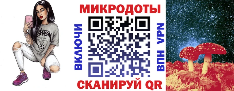 mega как войти  Лахденпохья  Псилоцибиновые грибы мицелий 